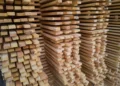 CO₂-opslag in hout